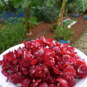 چای ترش