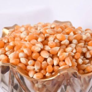 ذرت درجه یک